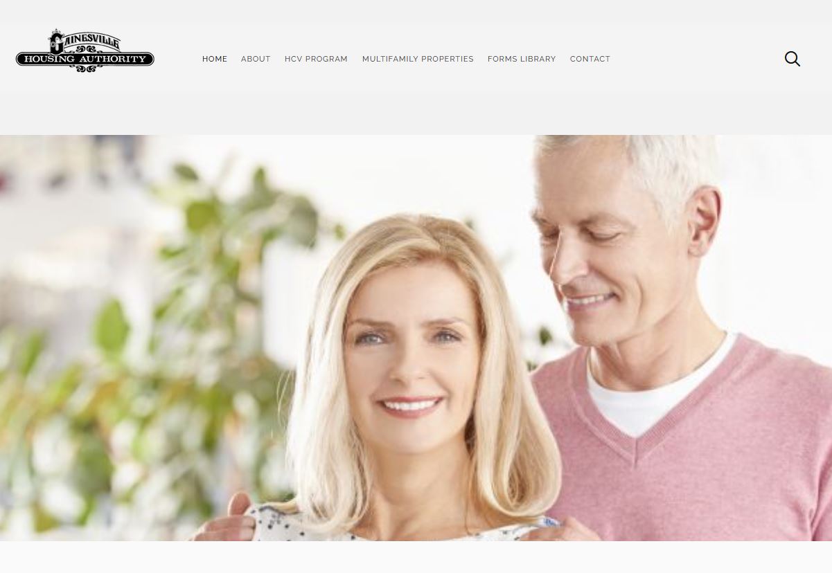  Website Design and Logo Design 